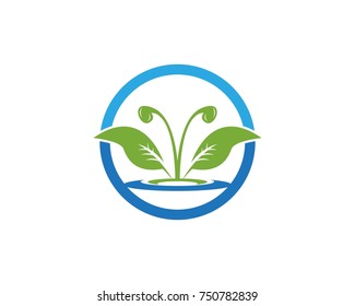Nature leaf logo design template