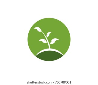 Nature leaf logo design template