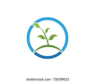 Nature leaf logo design template