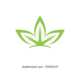 Nature leaf logo design template