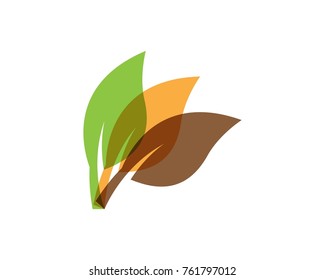 Nature leaf logo design template