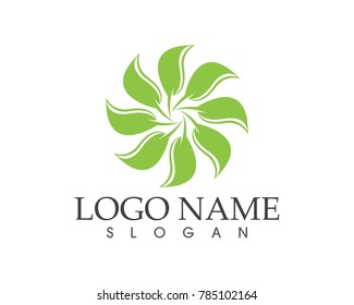Nature leaf logo design template