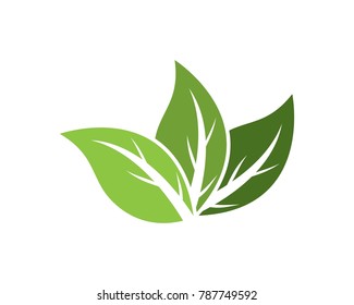 Nature leaf logo design template