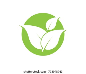 Nature leaf logo design template