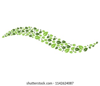 Nature leaf  logo design vector concept