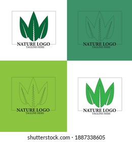 Nature leaf logo - leaf logo with different look.