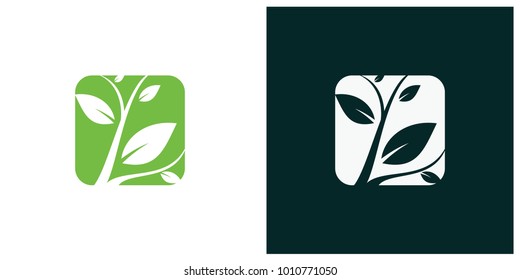 nature leaf logo, environment logo , ecology logo template designs