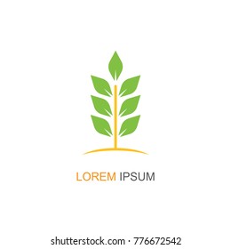Nature Leaf Logo. Modern design. Vector icon illustration