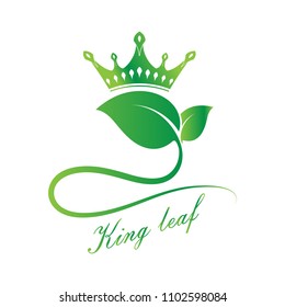 Nature leaf logo for premium product or monogram invitation luxury royal, calligraphic elegant elements, ornament vector, vintage decorative