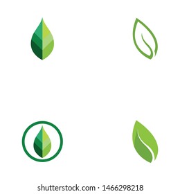 nature leaf logo and symbol template