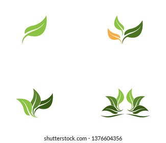 Nature leaf logo vector