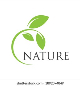 nature leaf logo vector illustration design template
