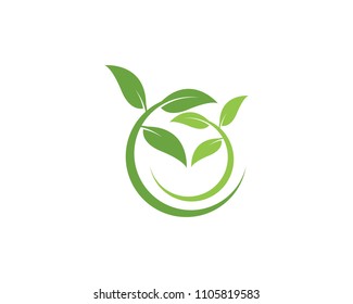 Nature leaf logo vector template