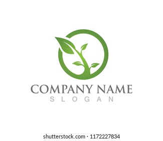 Nature Leaf Logos Stock Vector (Royalty Free) 1172227834 | Shutterstock