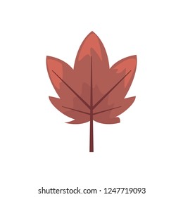 nature leaf maple decoration background
