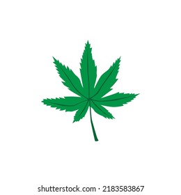nature leaf plant illustration vector
