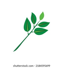 vector de ilustración vegetal de hoja natural