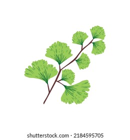 nature leaf plant illustration vector