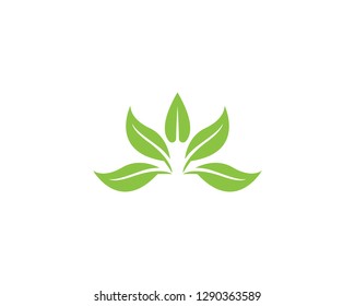 Nature leaf plant logo vector