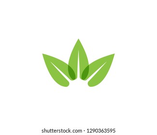 Nature leaf plant logo vector