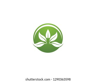 Nature leaf plant logo vector