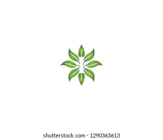 Nature leaf plant logo vector
