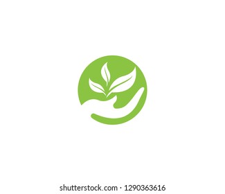 Nature leaf plant logo vector
