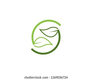 Nature leaf plant vector illustration