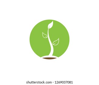Nature leaf plant vector illustration