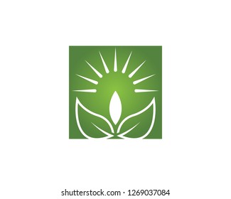Nature leaf plant vector illustration