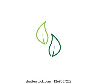 Nature leaf plant vector illustration
