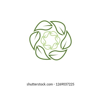 Nature leaf plant vector illustration