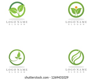 Nature leaf plant vector illustration