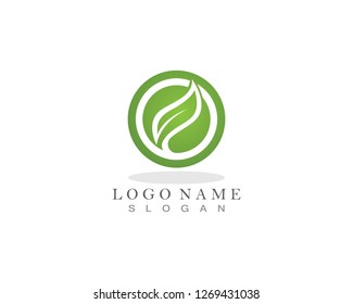 Nature leaf plant vector illustration