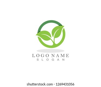 Nature leaf plant vector illustration