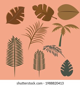 Naturblattpflanzenvektorornamenskollektionsset