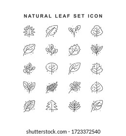 nature leaf set icon outline