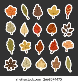Naturblatt in skandinavischem Stil verschiedene Form, Elemente für natürliche botanische Pflanzen perfekt für Ihre Illustration und kreative Designprojekte