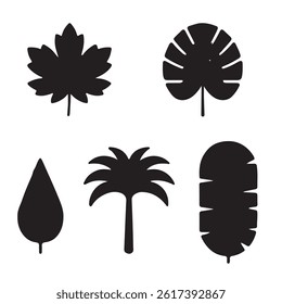 Nature Leaf Silhouettes Pack, Maple, Oak, Monstera and More