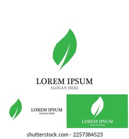 nature leaf simple icon vector illustration template design