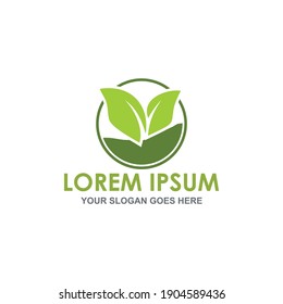 nature leaf vector , agriculture logo