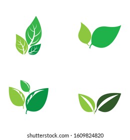 Nature Leaf vector icon design