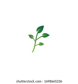 Nature leaf vector template icon design