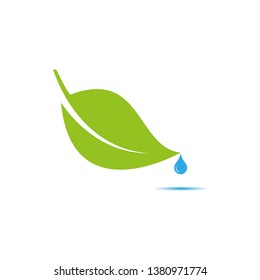 nature leaf and water drop vector design