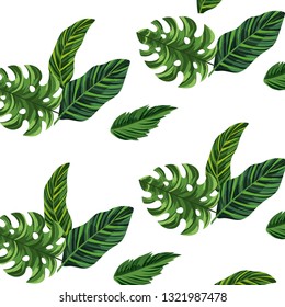nature leafs cartoon