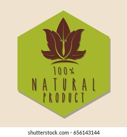 nature and leaves design