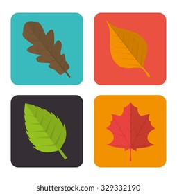  nature and leaves design, vector illustration graphic design.