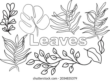 Nature leaves drawing vector set design