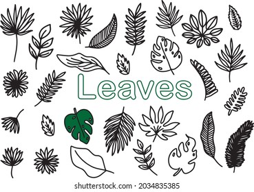 Nature leaves drawing vector set design