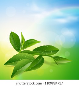 nature leaves green tea on spring  background. vector design illustrator.